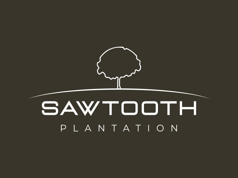 SAWTOOTH PLANTATION logo design by MariusCC