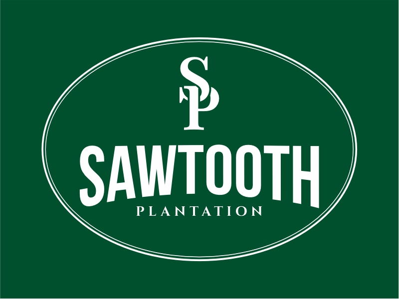 SAWTOOTH PLANTATION logo design by Girly