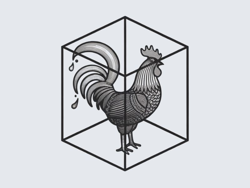 Rooster, Tail, 3 Dimensional Cube - Play on the words Cocktail Cubes logo design by Octavino Arianto