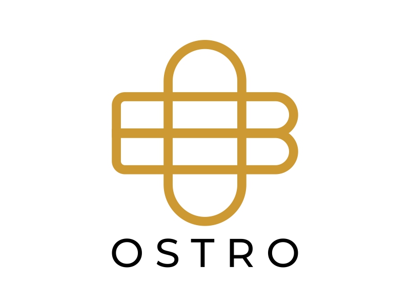 BO logo design by cintoko