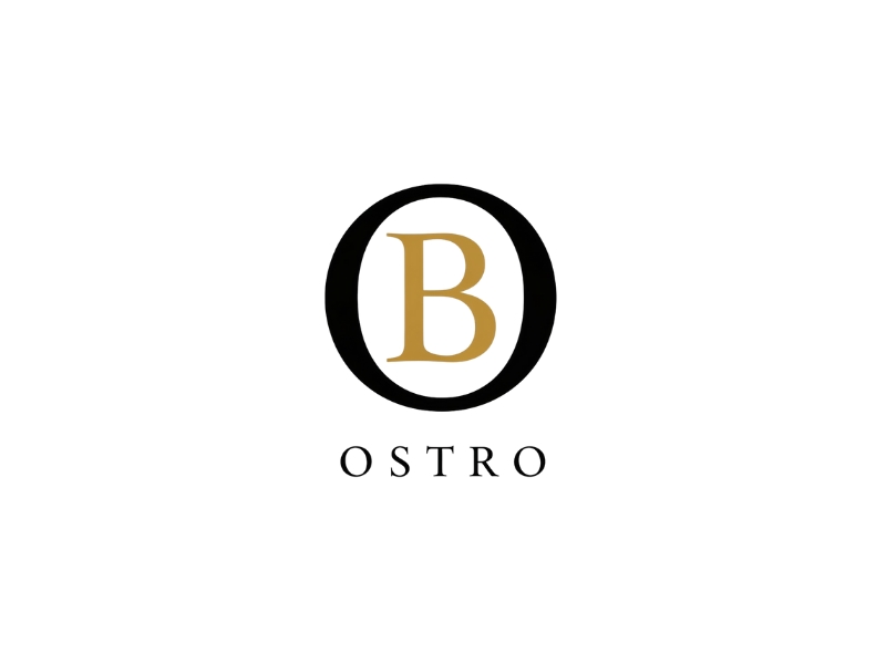 BO logo design by iffikhan