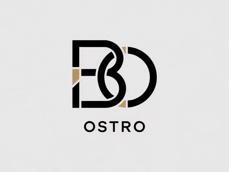 BO logo design by Bibek Nag