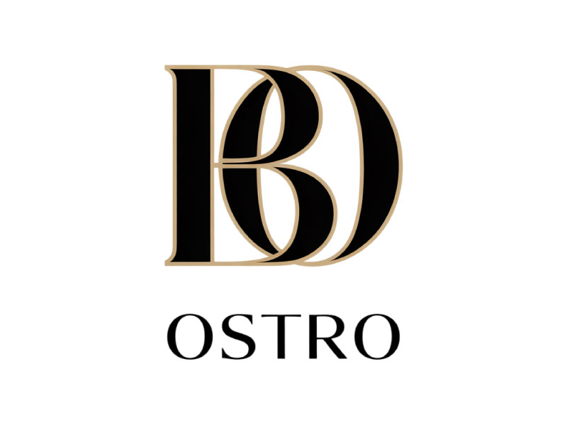 BO logo design by Bibek Nag