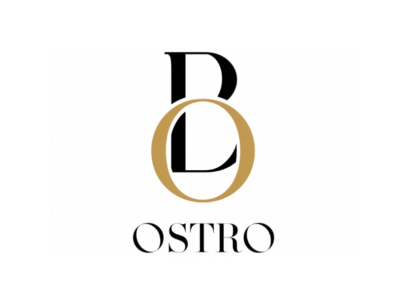 BO logo design by Queen D