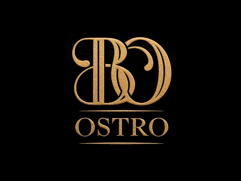 BO logo design by Queen D