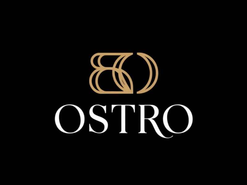 BO logo design by Queen D