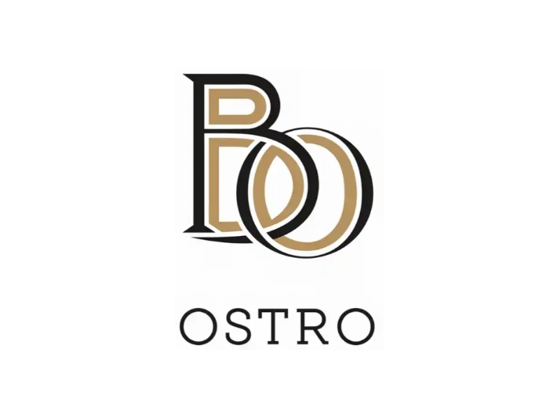 BO logo design by Queen D