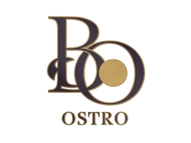 BO logo design by D_king