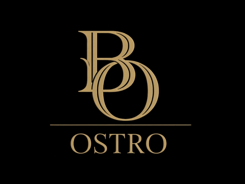 BO logo design by D_king