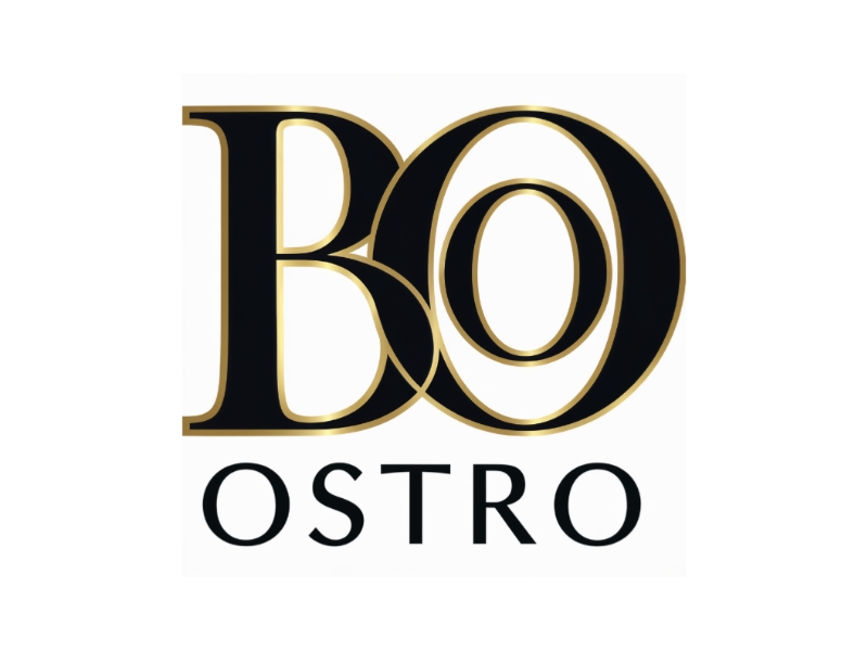 BO logo design by D_king