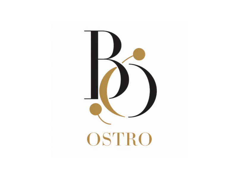 BO logo design by Marena