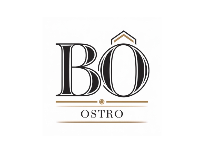 BO logo design by Queen D