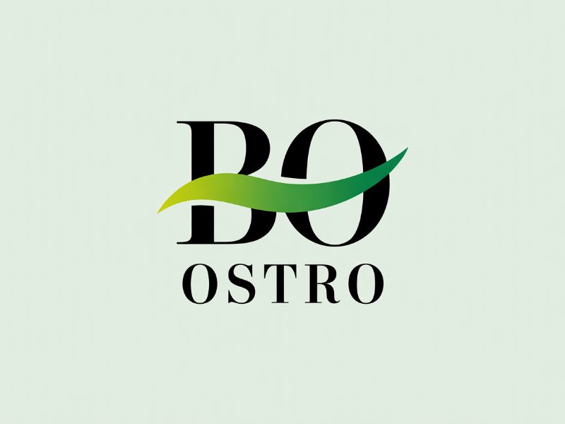  logo design by Lordede