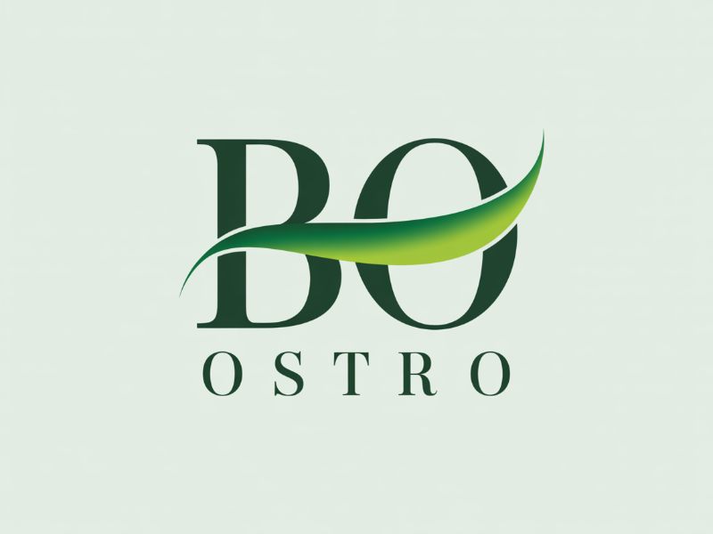 BO logo design by Hadisk