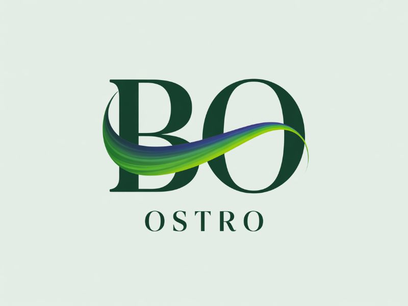 BO logo design by Hadisk