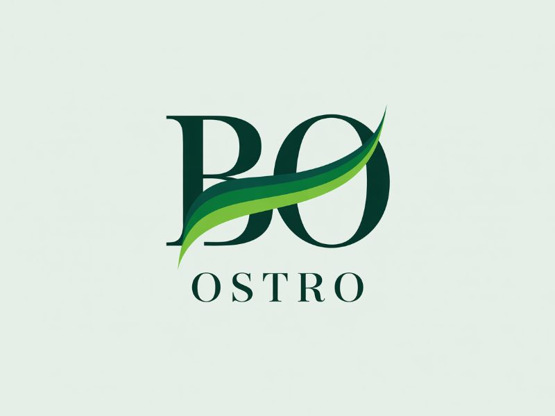 BO logo design by Ayamas