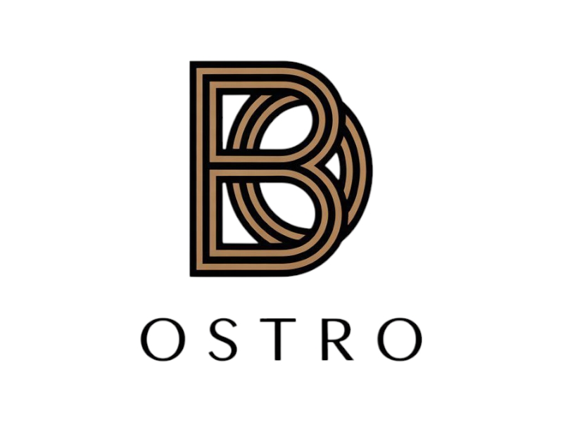 BO logo design by salim