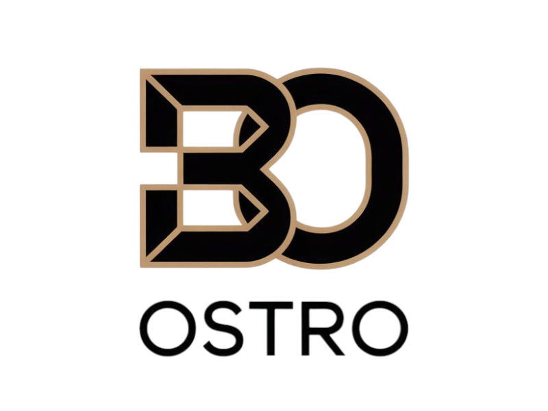 BO logo design by salim