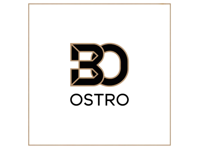 BO logo design by salim