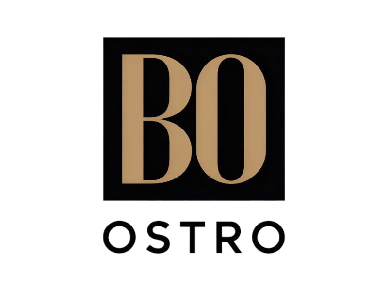 BO logo design by salim