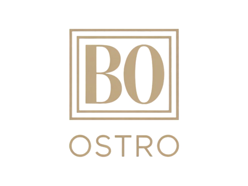 BO logo design by Nai