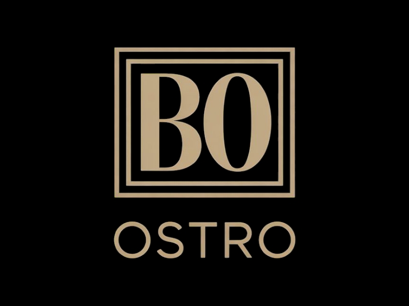 BO logo design by Nai