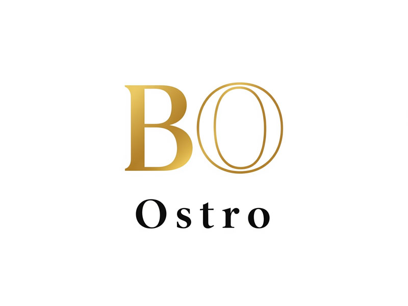 BO logo design by navneet