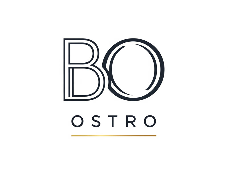 BO logo design by navneet