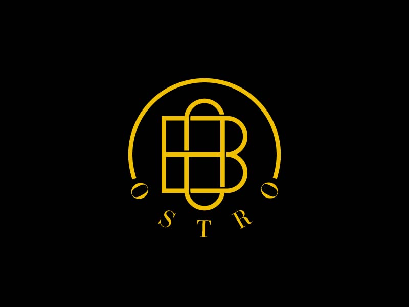  logo design by Bright Ritchil