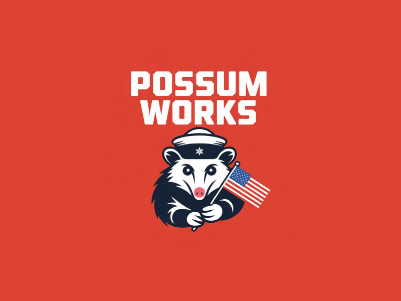  logo design by Poki