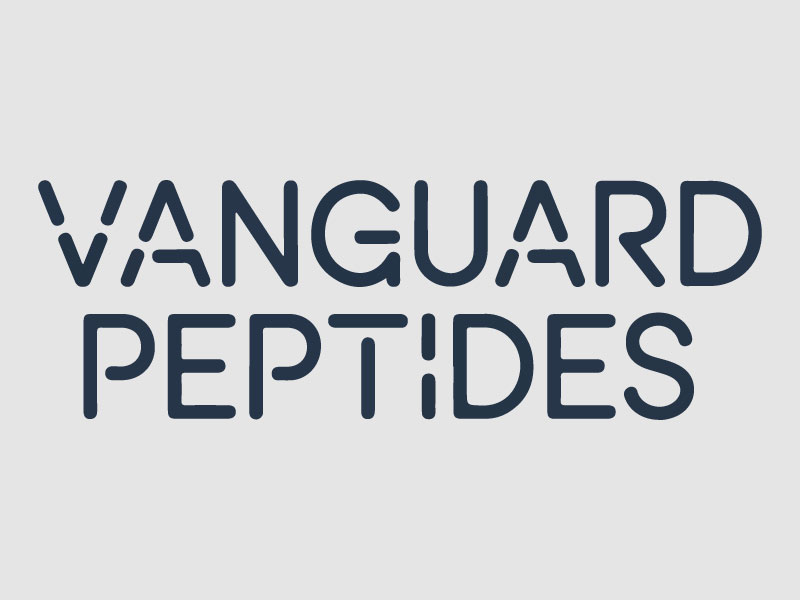 logo design by Bad Boy