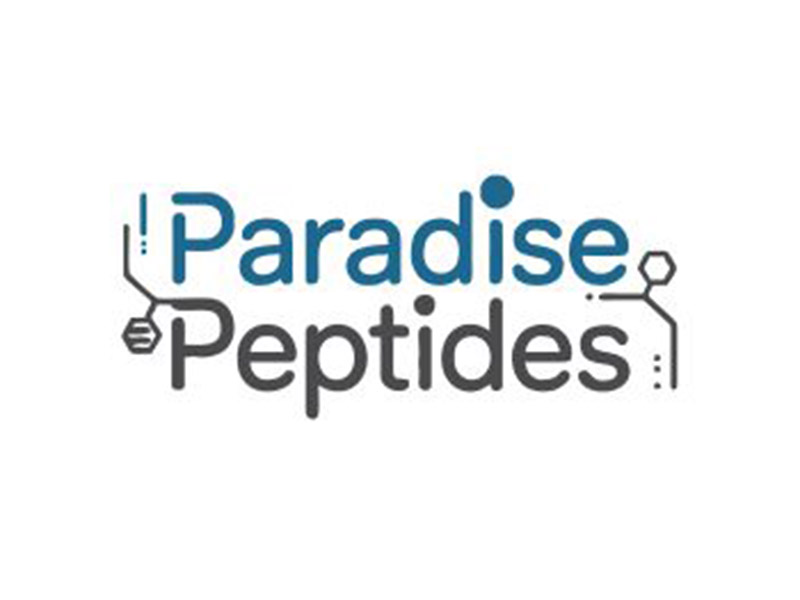  logo design by xbrand