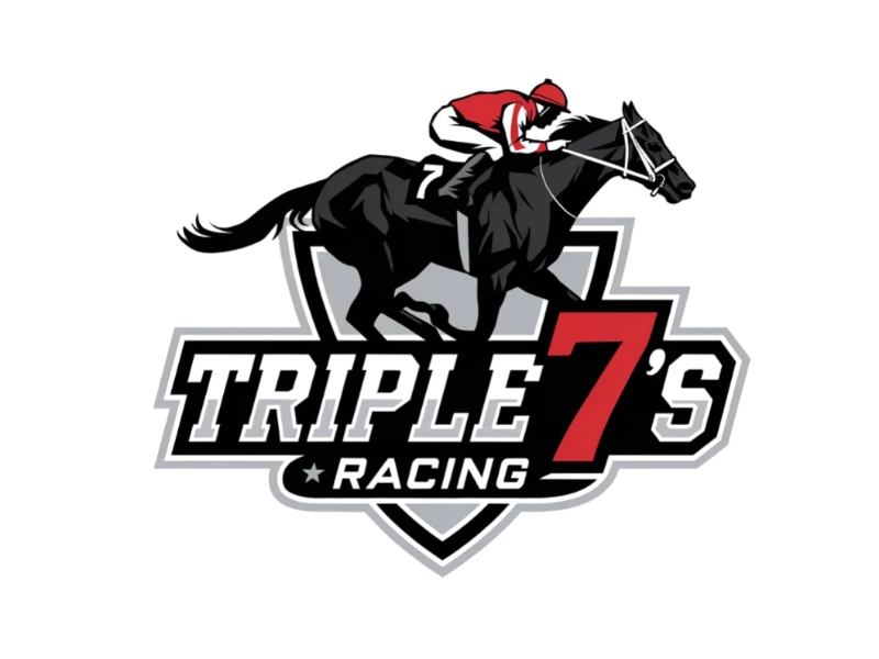  logo design by D_king