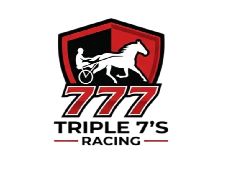  logo design by joseemman