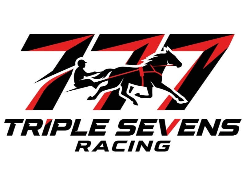  logo design by joni