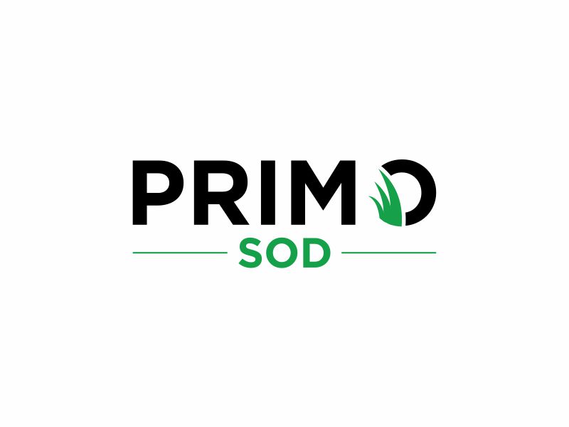  logo design by DiDdzin