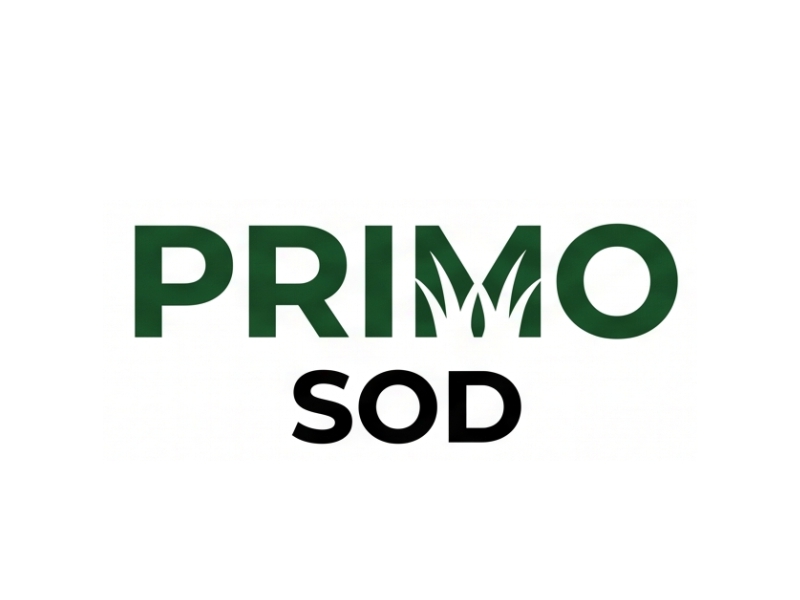 Primo Sod logo design by Bambang Bang