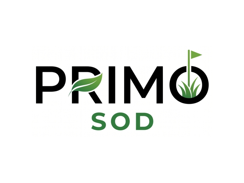 Primo Sod logo design by Bambang Bang