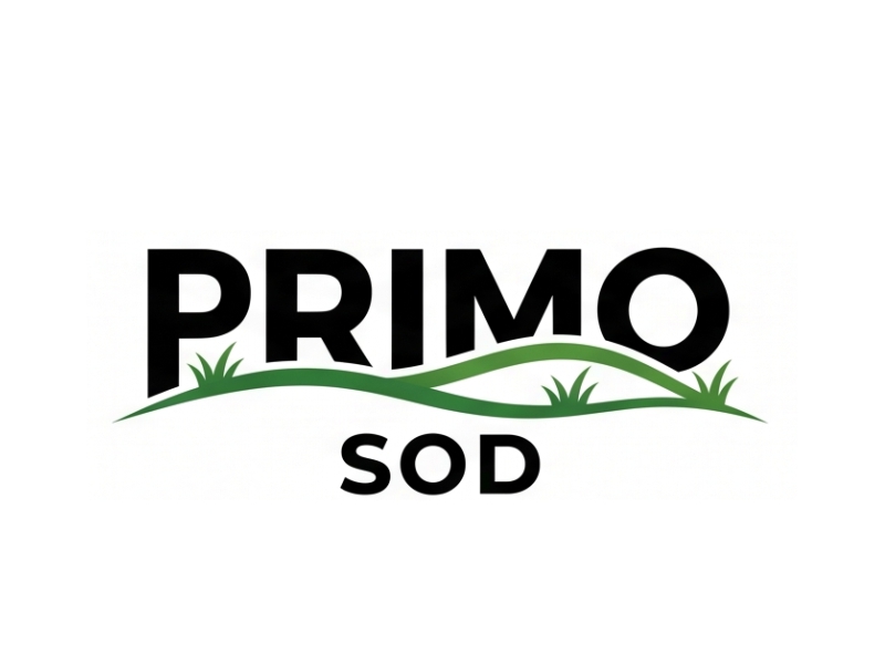 Primo Sod logo design by Bambang Bang