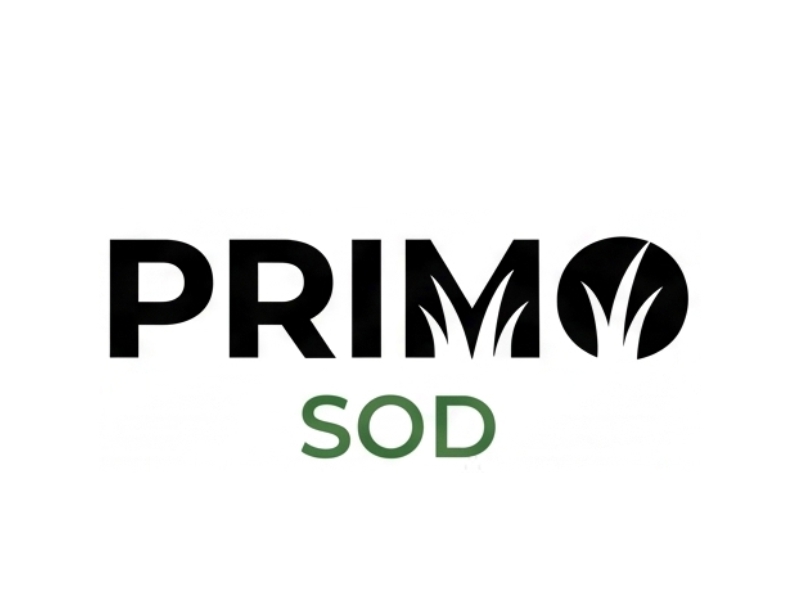  logo design by Bambang Bang