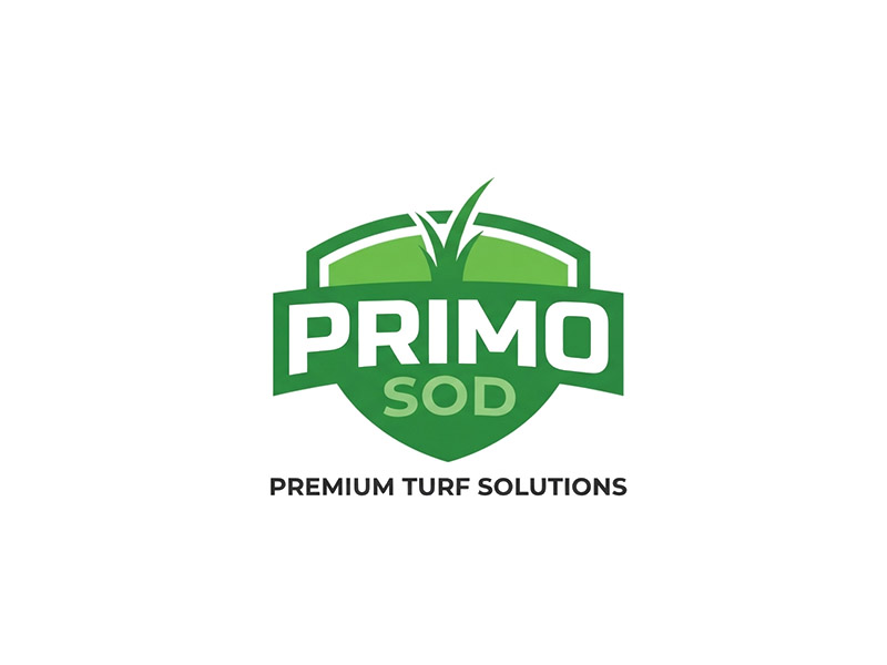  logo design by IamSoya