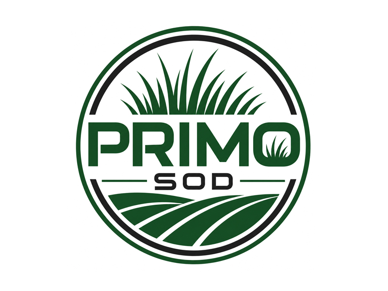  logo design by Kanenas