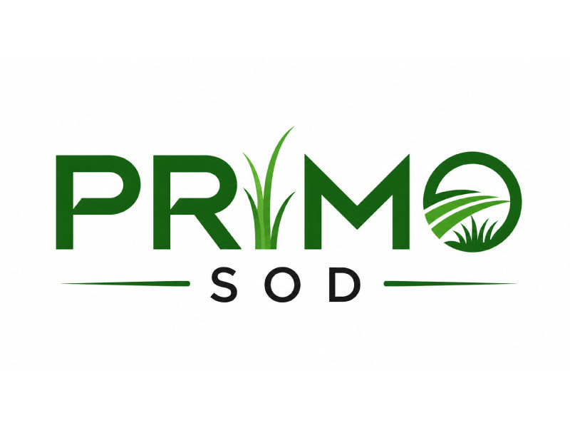  logo design by USDOT