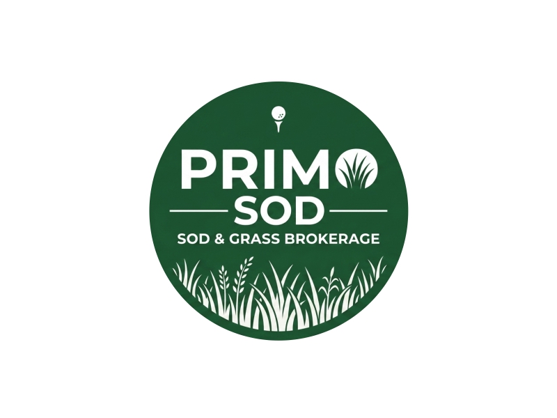  logo design by santrie