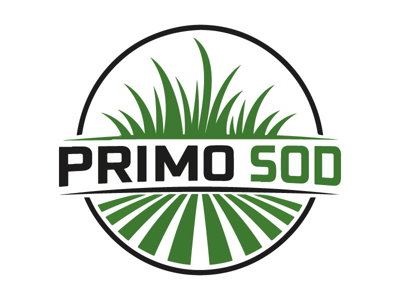 Primo Sod logo design by Bibek Nag
