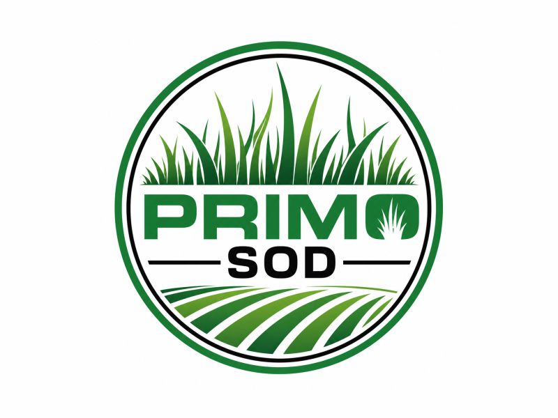  logo design by giphone