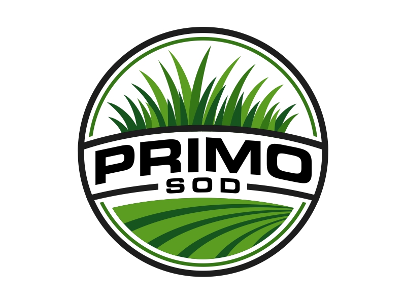  logo design by cintoko