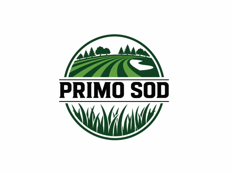  logo design by ruki
