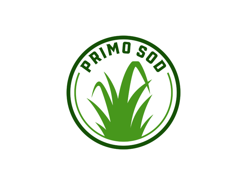  logo design by Bayoe