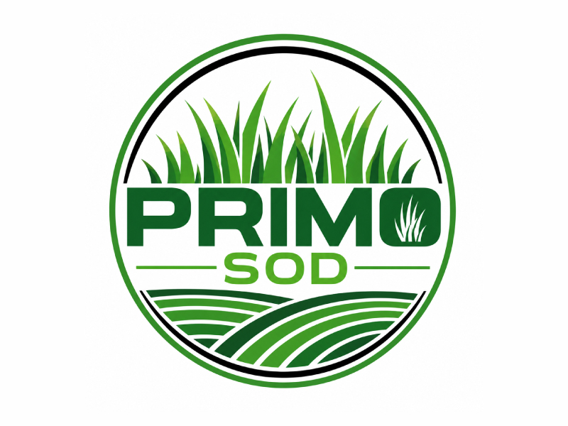 Primo Sod logo design by Mr uink